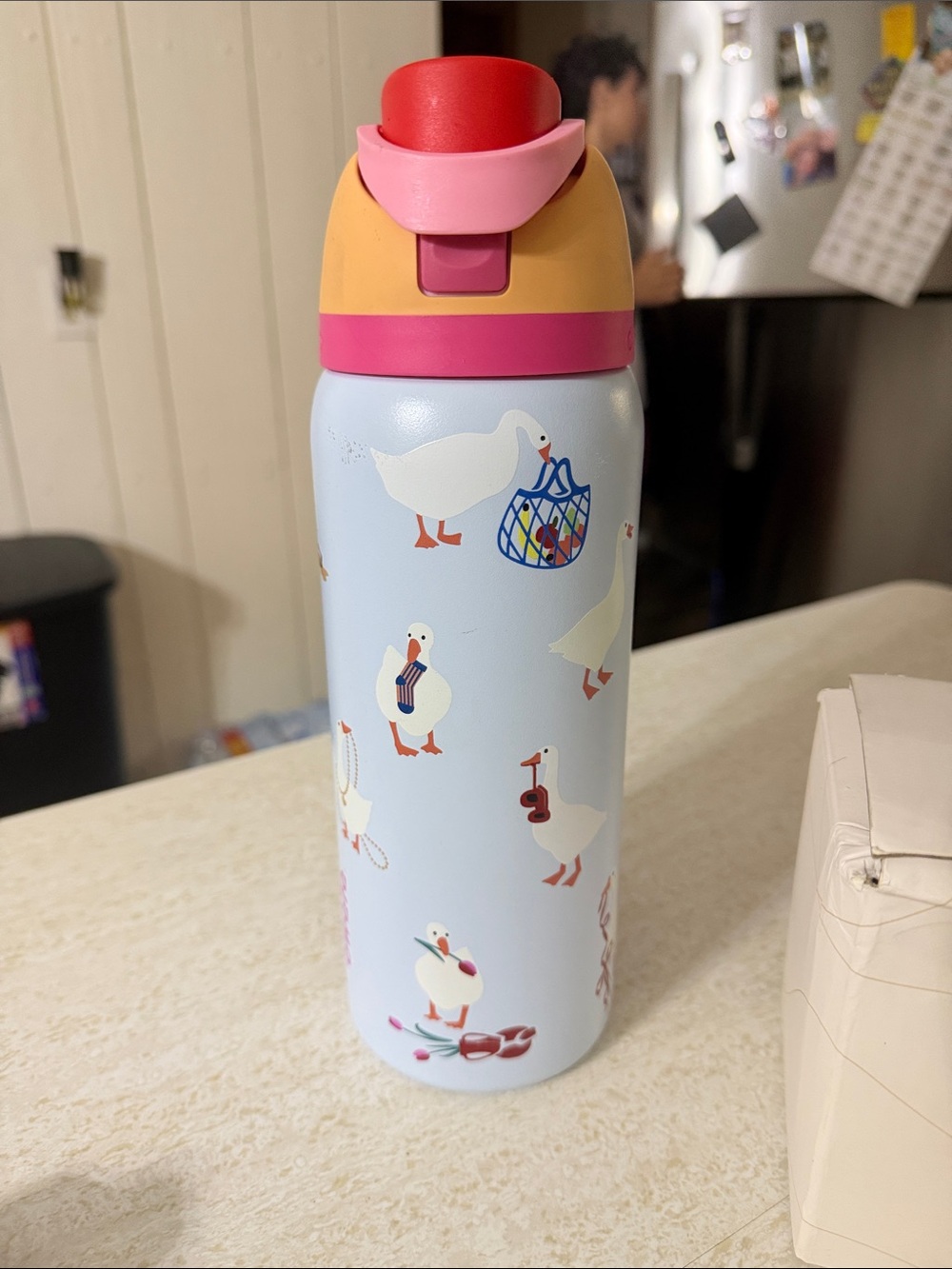 Owala Light Blue “Silly Goose” Print Stainless Water Bottle with Pink/Red Lid